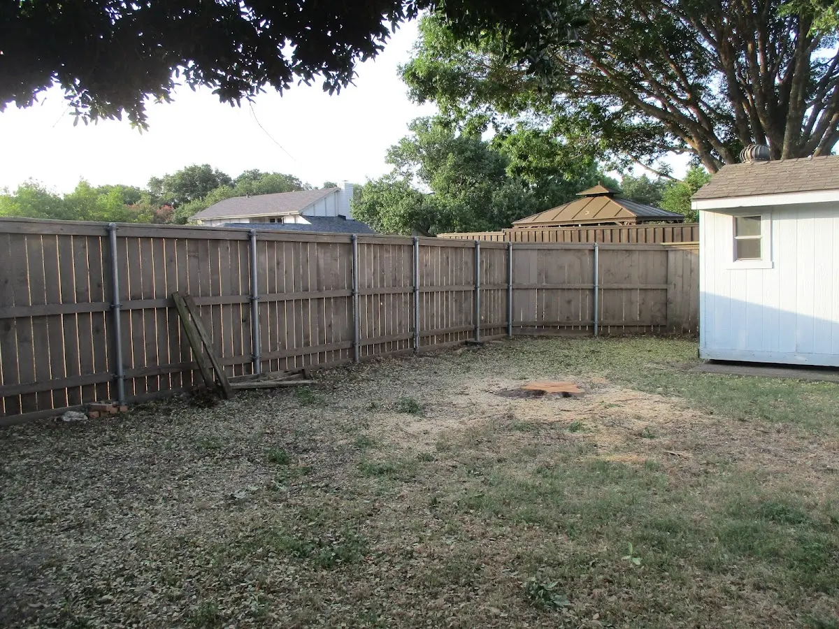 Cleared yard after professional tree removal in Delhi